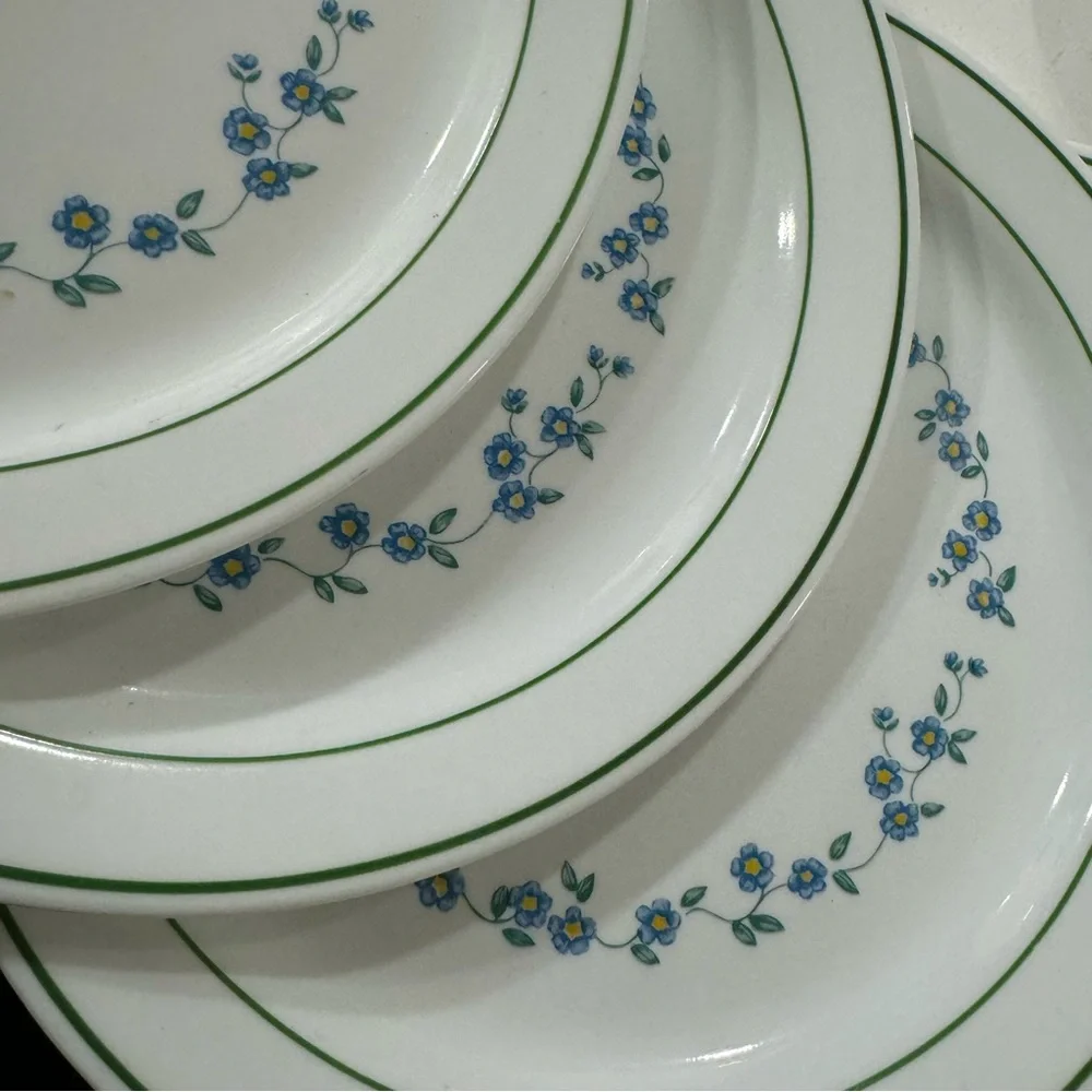Corningware forget me